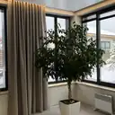 Шторки